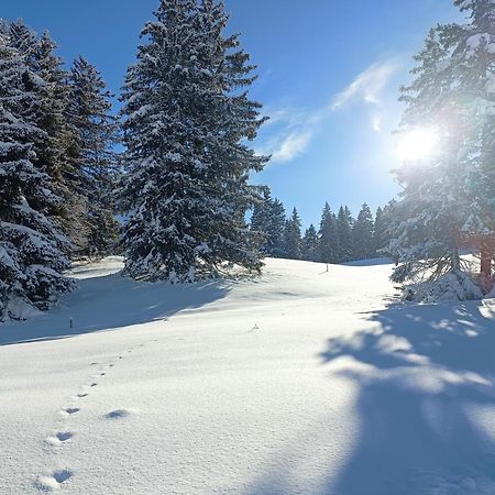 Ferien In Der Region Lenzerheide Appartement Buitenkant foto