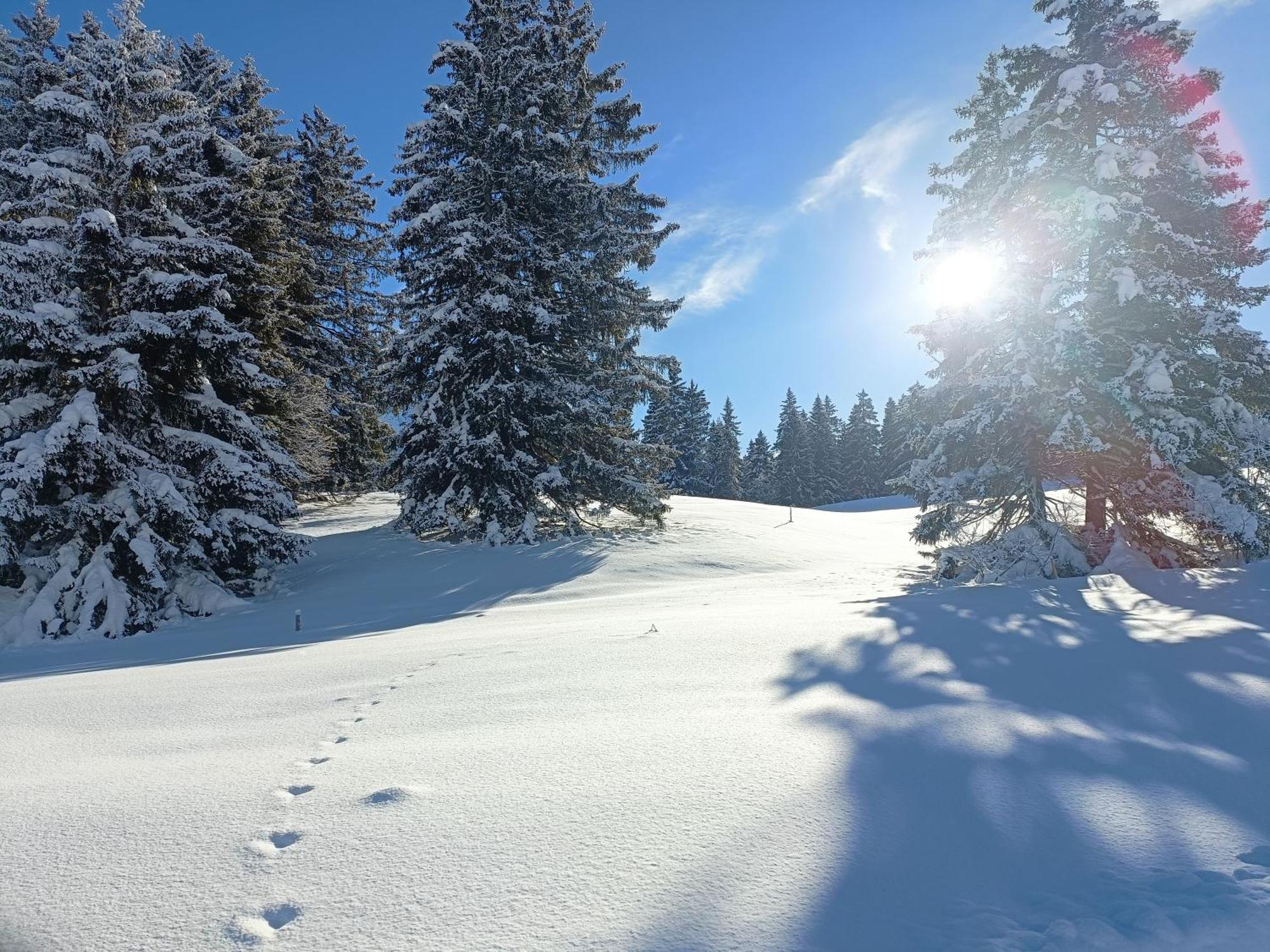 Ferien In Der Region Lenzerheide Appartement Buitenkant foto